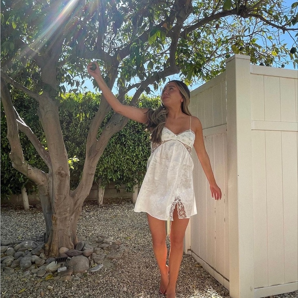 For love & lemons Baby's Breath Slip Dress